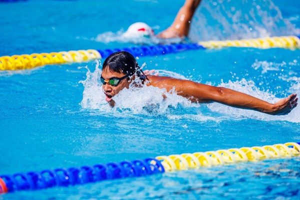 วิเคราะห์สไตล์การว่ายน้ำของฮังการี: จุดเด่นด้านความเร็ว–ความอึด–เทคนิค